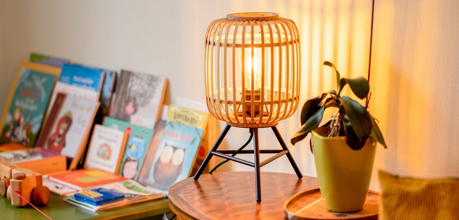 Foto einer Lampe sowie einer Pflanze und verschiedenen Büchern im Hintergrund.